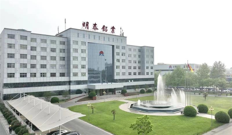 尊龙凯时铝业首次入选中国民营企业500强